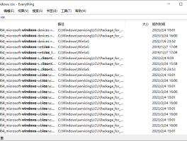 Everything 1.5.0  x64 绿色汉化版